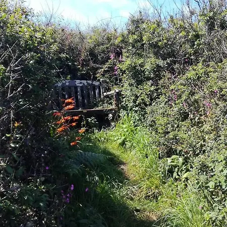 Διαμέρισμα Farm - The Lizard Peninsula, Cornwall